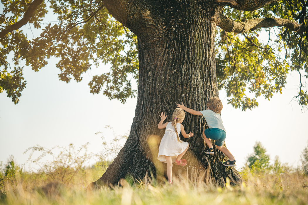 Kids climbing tree