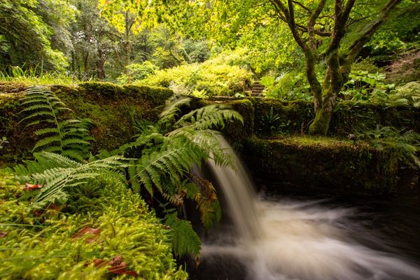 Water garden at Gidleigh Park
