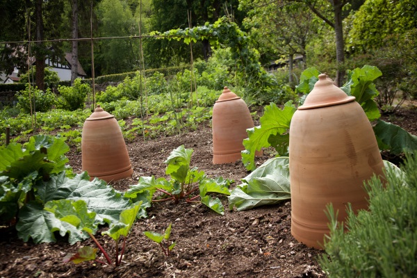 Gardens at Gidleigh Park