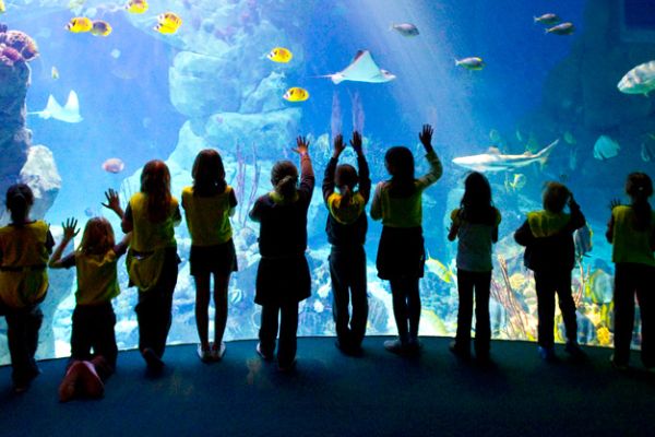National Marine Aquarium