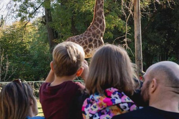 Paignton Zoo